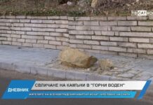 Дневник 27.01.2025