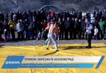 Дневник 30.01.2025