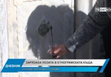 Дневник 14.02.2025