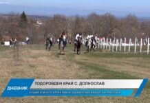 Дневник 10.03.2025