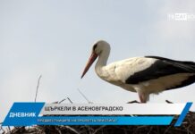 Дневник 13.03.2025