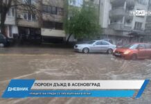 Дневник 31.03.2025