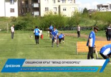 Дневник 25.04.2025