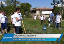 Дневник 28.04.2025