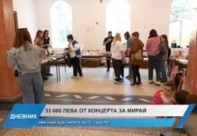 Дневник 29.04.2025