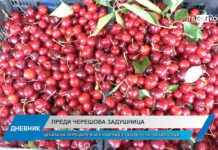 Дневник 06.06.2025