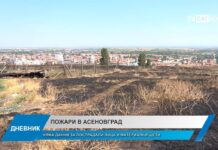 Дневник 02.06.2025