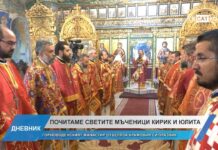 Дневник 15.07.2025