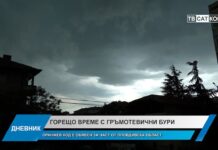 Дневник 16.07.2025