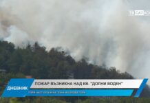 Дневник 23.07.2025