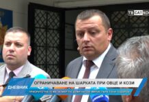 Дневник 31.07.2025