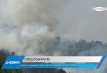 Дневник 01.08.2025