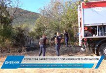 Дневник 16.09.2025