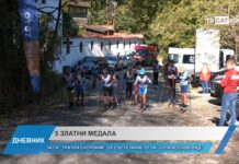 Дневник 20.10.2025