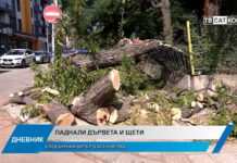 Дневник 18.07.2025