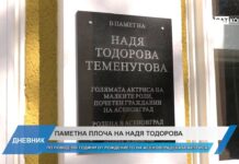 Дневник 03.11.2025