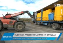 Дневник 10.11.2025