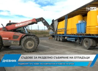 Дневник 10.11.2025