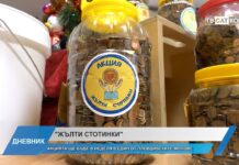 Дневник 05.12.2025