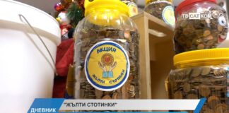 Дневник 05.12.2025