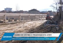 Дневник 20.01.2026