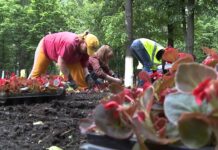 71 души са назначени по проект „Обучения и заетост на младите хора” в Асеновград и общината