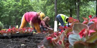 71 души са назначени по проект „Обучения и заетост на младите хора” в Асеновград и общината