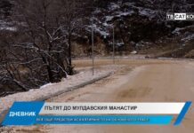 Дневник 11.02.2026