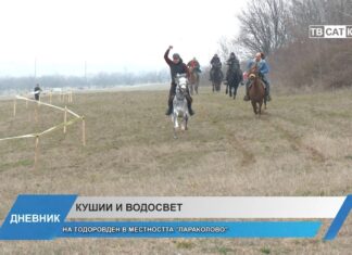 Дневник 02.03.2026