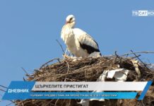 Дневник 04.03.2026