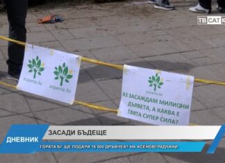 Дневник 19.03.2026