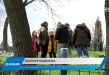 Дневник 06.04.2026