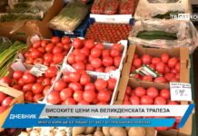 Дневник 14.04.2026