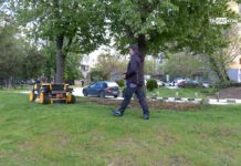 Зелената тема 24.04.2026