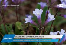 Дневник 22.05.2026