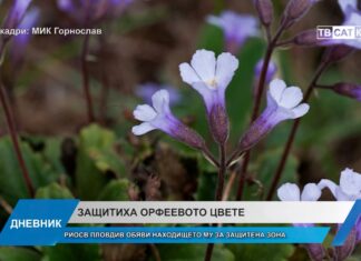 Дневник 22.05.2026