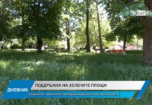 Дневник 27.05.2026
