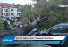 Дневник 28.05.2026