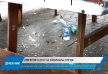 Дневник 04.06.2026