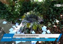 Дневник 12.06.2026