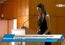 Дневник 17.06.2026