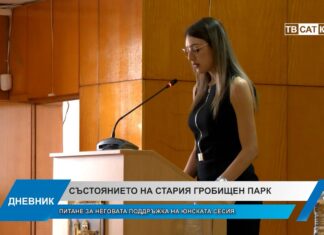 Дневник 17.06.2026