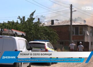 Дневник 19.06.2026