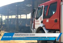 Дневник 29.06.2026