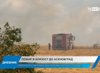 Дневник 15.07.2026