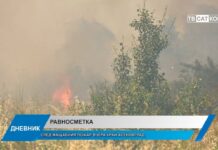 Дневник 16.07.2026
