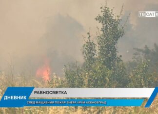 Дневник 16.07.2026