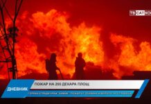 Дневник 23.07.2026