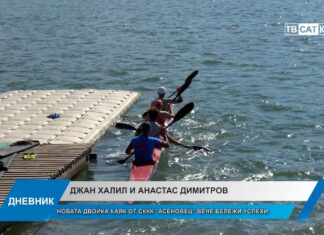 Дневник 29.07.2026
