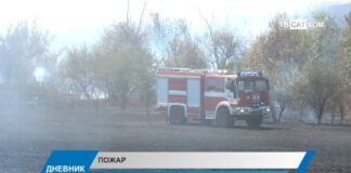 Дневник 30.07.2026